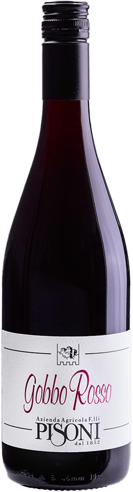 2024 Gobbo Teroldego Vigneti delle Dolomiti IGP BIO