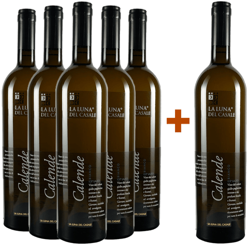 5+1 Paket Calende Bianco Lazio IGP BIO BIO