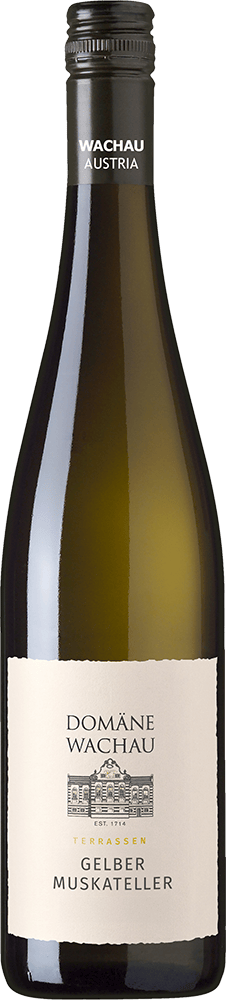 2025 Gelber Muskateller Terrassen