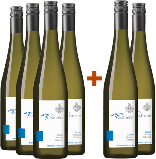 4+2 Paket Riesling Schotter Kremstal DAC