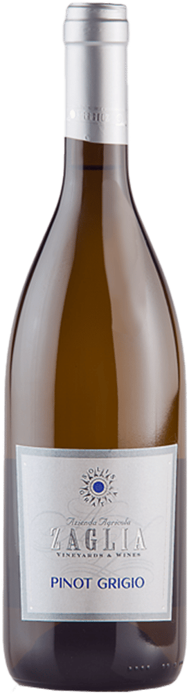 2024 Pinot Grigio Friuli DOC