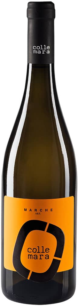 2024 Bianco Marche IGP