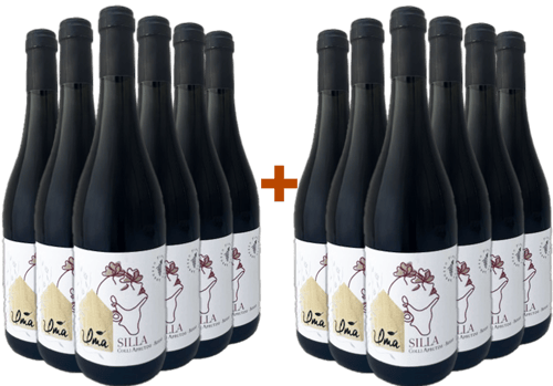 6+6 Paket Silla Colli Aprutini IGP