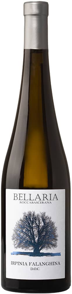 2024 Falanghina Irpinia DOC