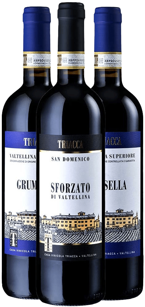 Triacca - La Gatta Kennenlern-Paket