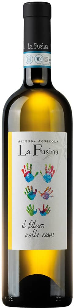 2023 Langhe Sauvignon DOC 1,5 L