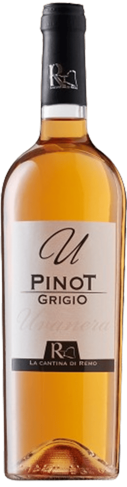 2022 Pinot Grigio Terre degli Osci IGP