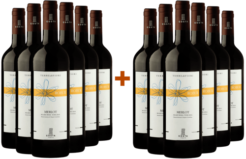 6+6 Paket Robur Merlot Toscana IGP