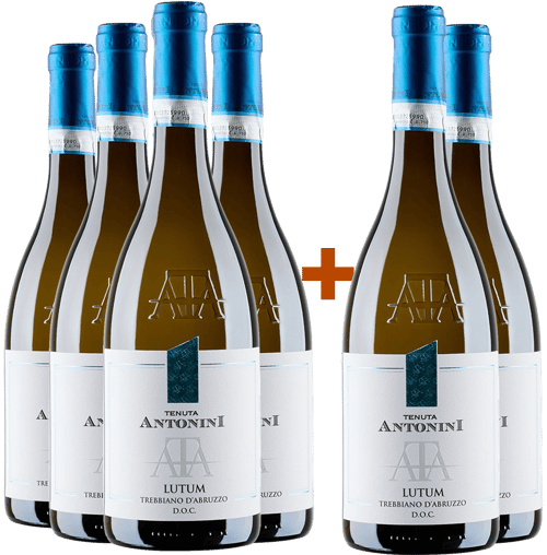 4+2 Paket Lutum Trebbiano d'Abruzzo DOC