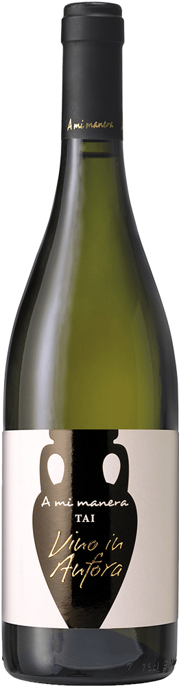 2023 Tai Anfora Veneto IGP