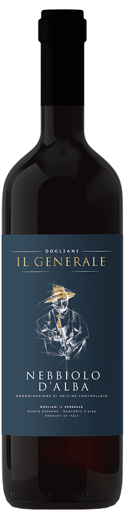 2023 Nebbiolo d'Alba DOC BIO