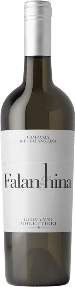 2024 Falanghina Campania IGP