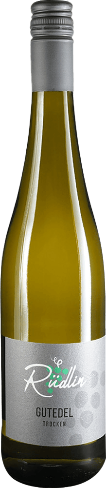 2024 Gutedel, FundamentT