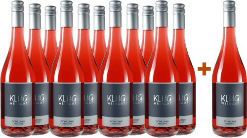 11+1 Paket Schilcher Frizzante