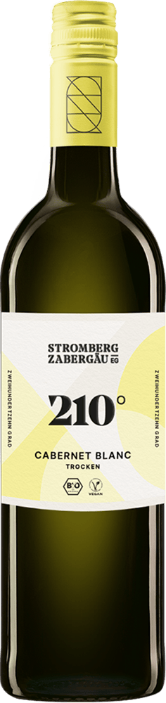 2024 210° Erkundung Cabernet Blanc BIO