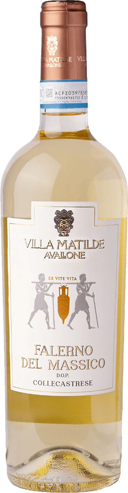 2019 Vigna Caracci Falerno del Massico Bianco DOC