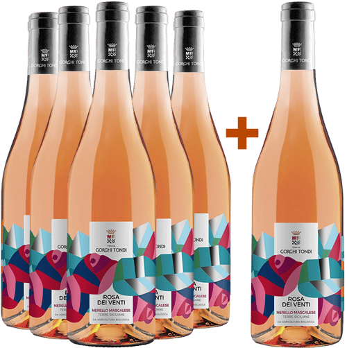 5+1 Paket Rosa dei Venti Nerello Mascalese Terre Siciliane IGP BIO