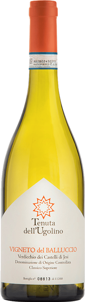 2023 Vigneto del Balluccio Verdicchio dei Castelli di Jesi Classico Superiore DOC BIO