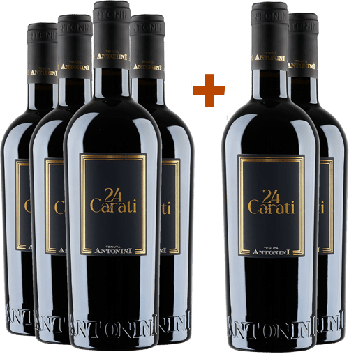 4+2 Paket 24 Carati Rosso