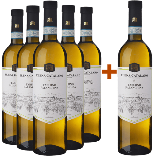 5+1 Paket Falanghina Del Sannio Taburno DOC