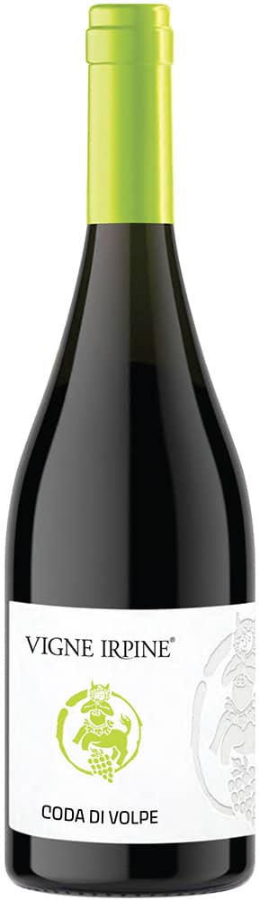 2024 Coda di Volpe Irpinia DOC