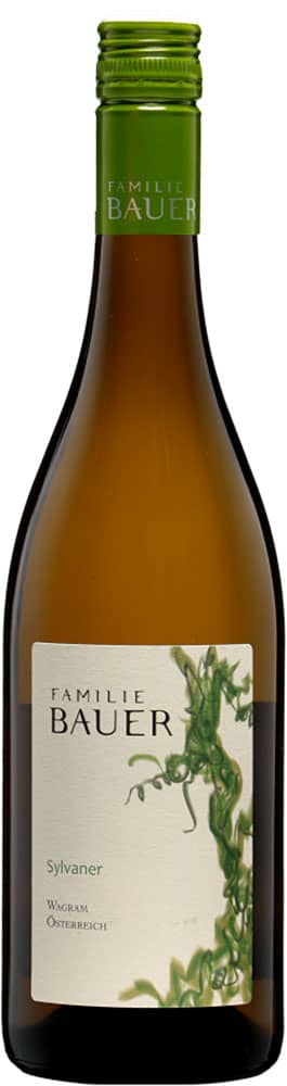 2021 Sylvaner BIO