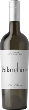 2024 Falanghina Campania IGP