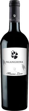 2023 Falanghina Puglia IGP