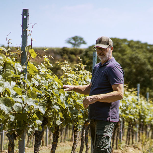 Weingut Dirk Wendel Weingut Dirk Wendel