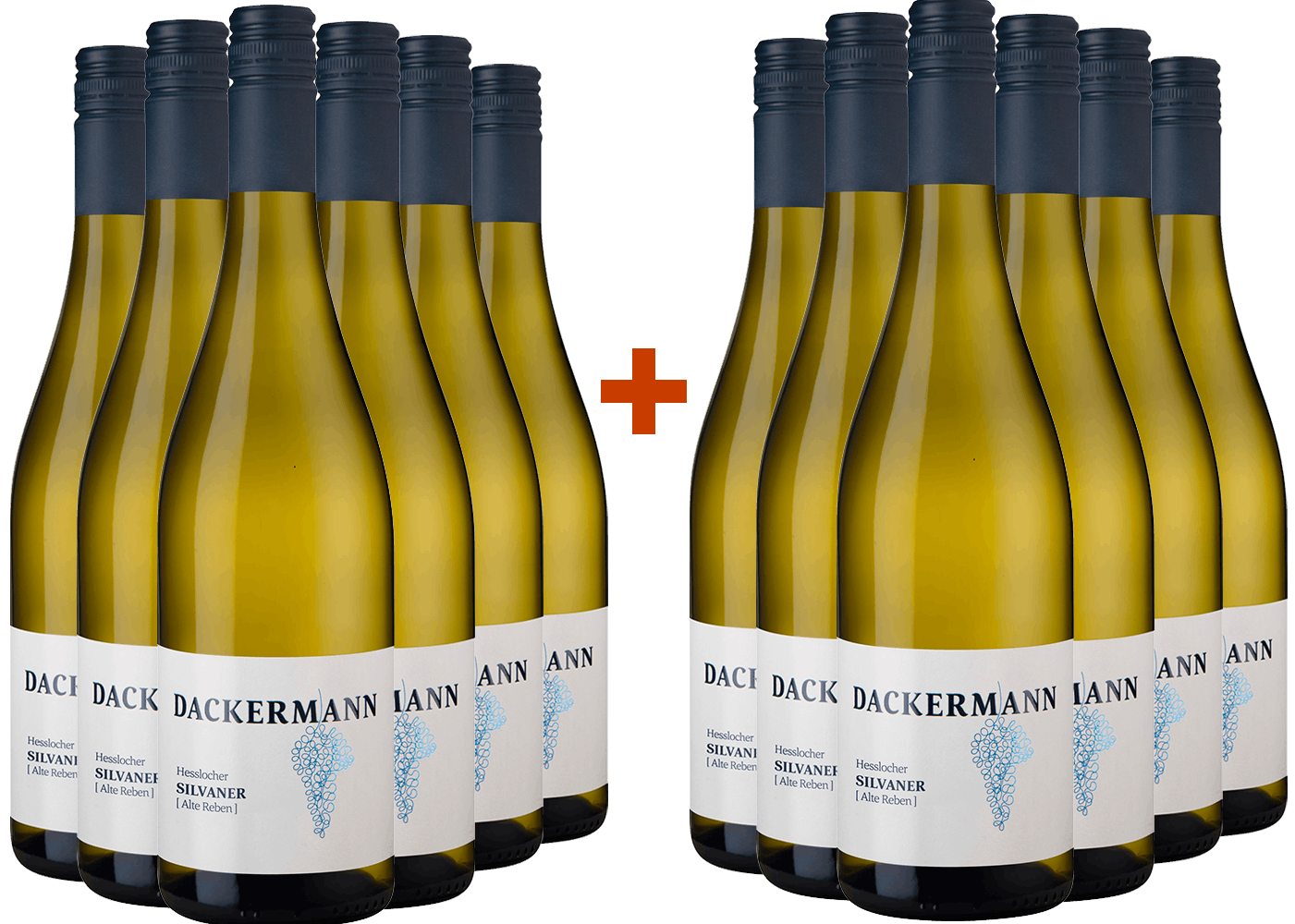 6+6 Paket Hesslocher Silvaner [Alte Reben] Ortswein trocken