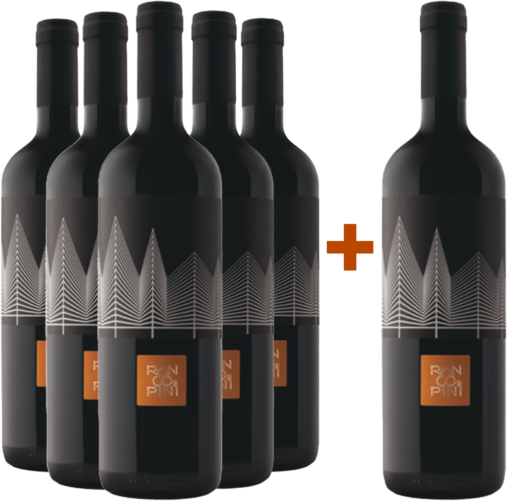 5+1 Paket Sauvignon Friuli Colli Orientali DOC 5+1 Paket Sauvignon Friuli Colli Orientali DOC