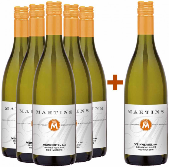 5+1 Weinviertel DAC Ried Hausberg trocken