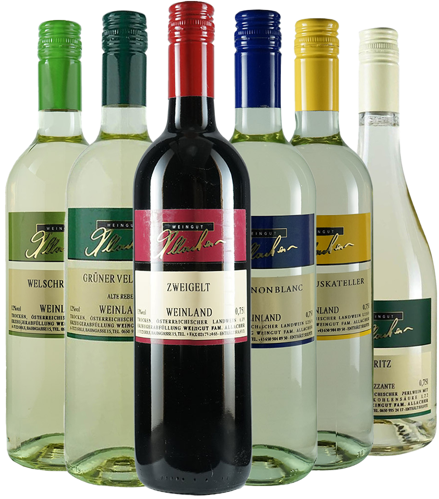 Kennenlernpaket klein