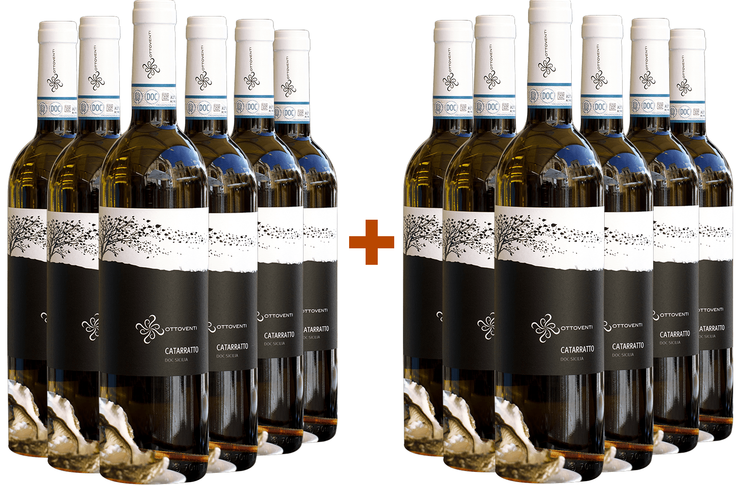 6+6 Paket Catarratto Sicilia DOC BIO