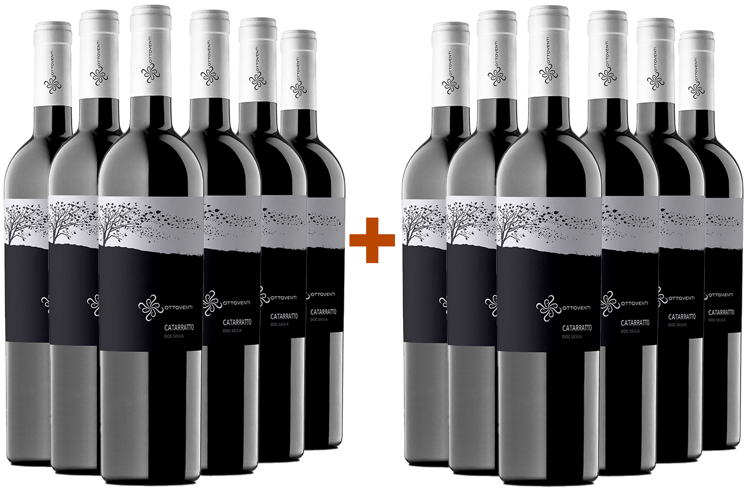 6+6 Paket Catarratto Sicilia DOC BIO 6+6 Paket Catarratto Sicilia DOC BIO