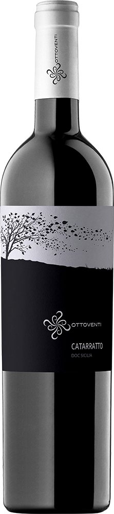 6+6 Paket Catarratto Sicilia DOC BIO 6+6 Paket Catarratto Sicilia DOC BIO