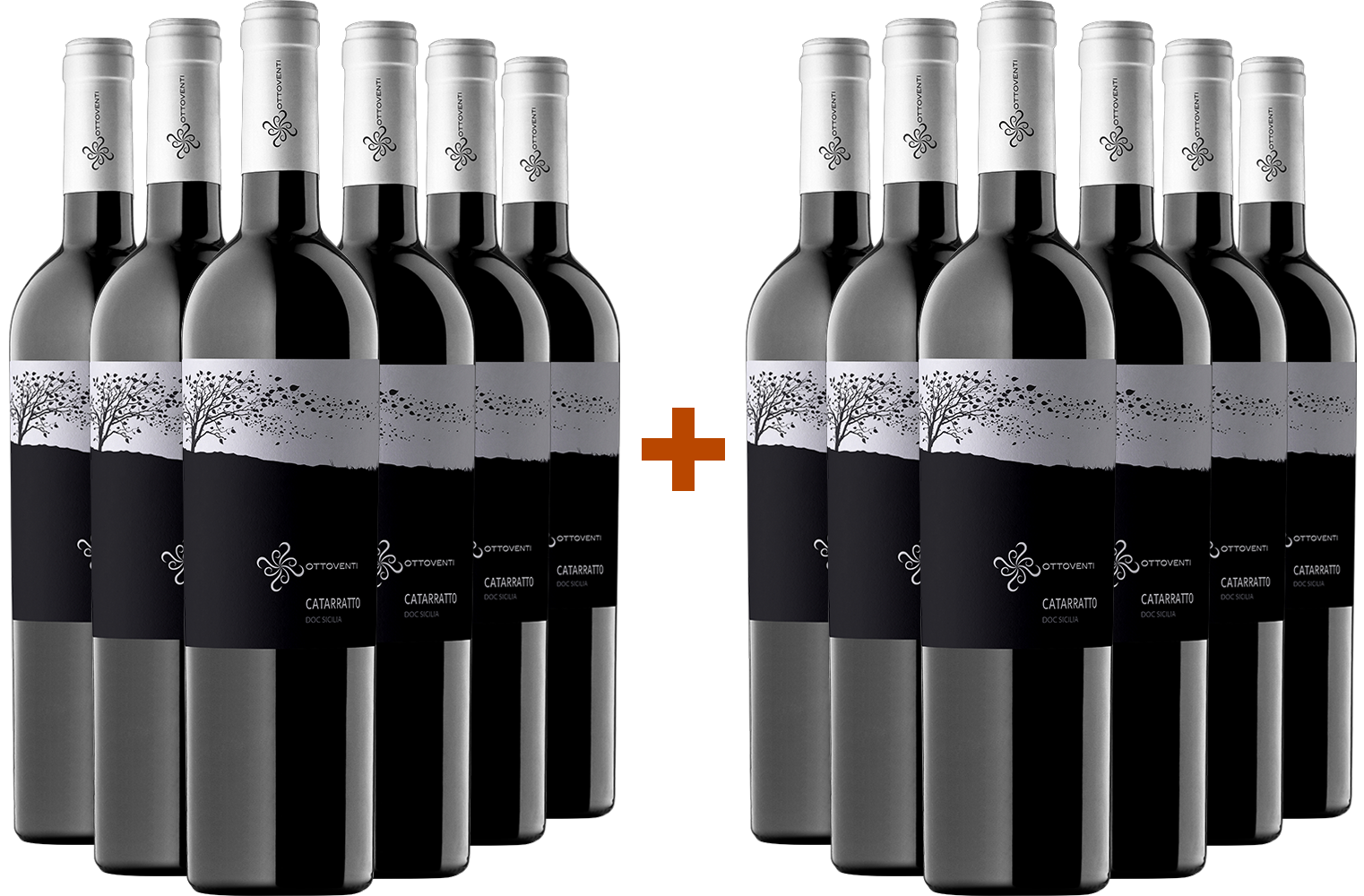 6+6 Paket Catarratto Sicilia DOC BIO 6+6 Paket Catarratto Sicilia DOC BIO
