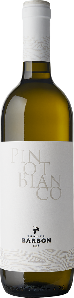 Pinot Bianco Trevenezie IGP