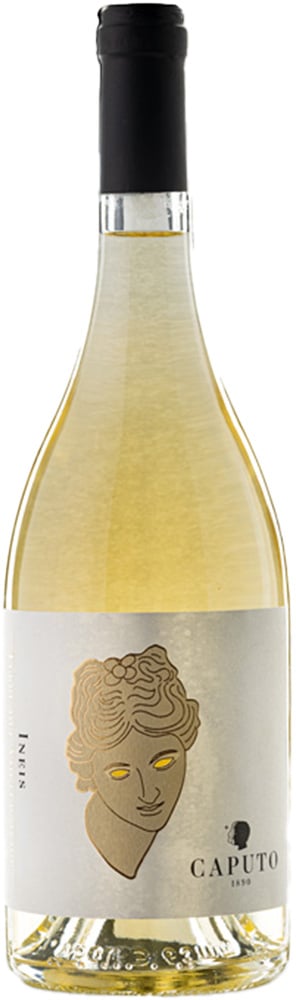 2021 INEIS Terre del Volturno IGP 2021 INEIS Terre del Volturno IGP