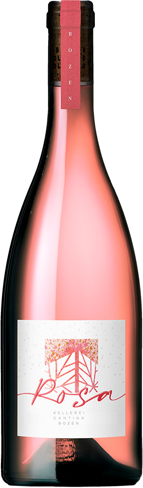 Rosa Rosé