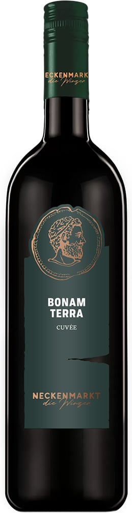 2020 Bonam Terra 2020 Bonam Terra