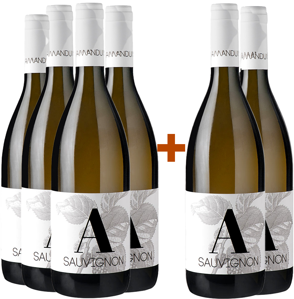 4+2 Paket Sauvignon Friuli Isonzo DOC