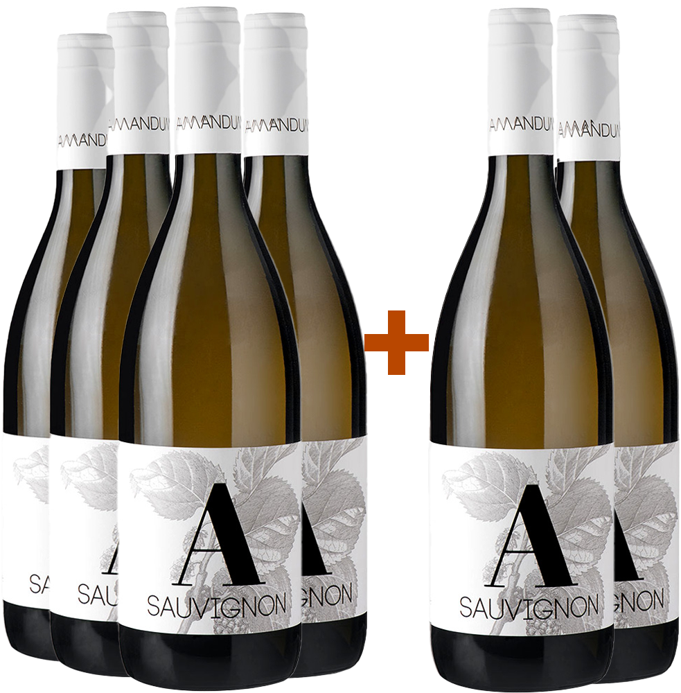 4+2 Paket Sauvignon Friuli Isonzo DOC 4+2 Paket Sauvignon Friuli Isonzo DOC