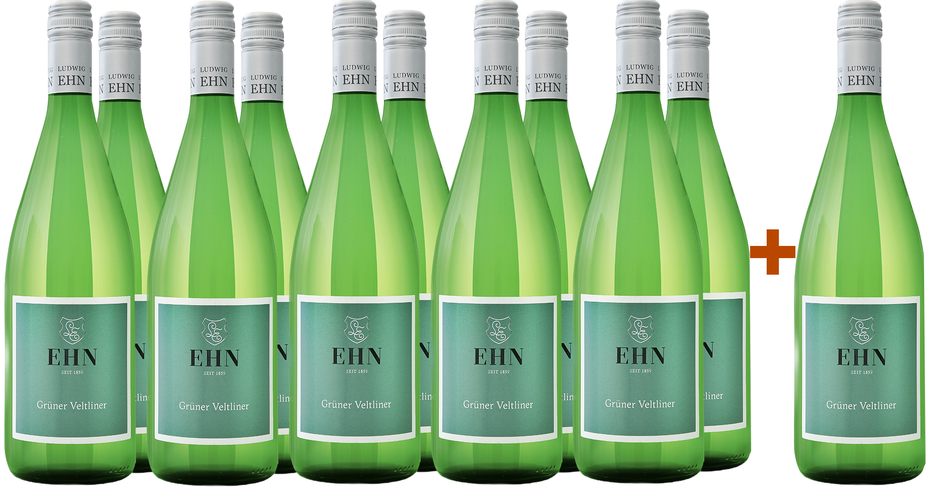 11+1 Paket Grüner Veltliner
