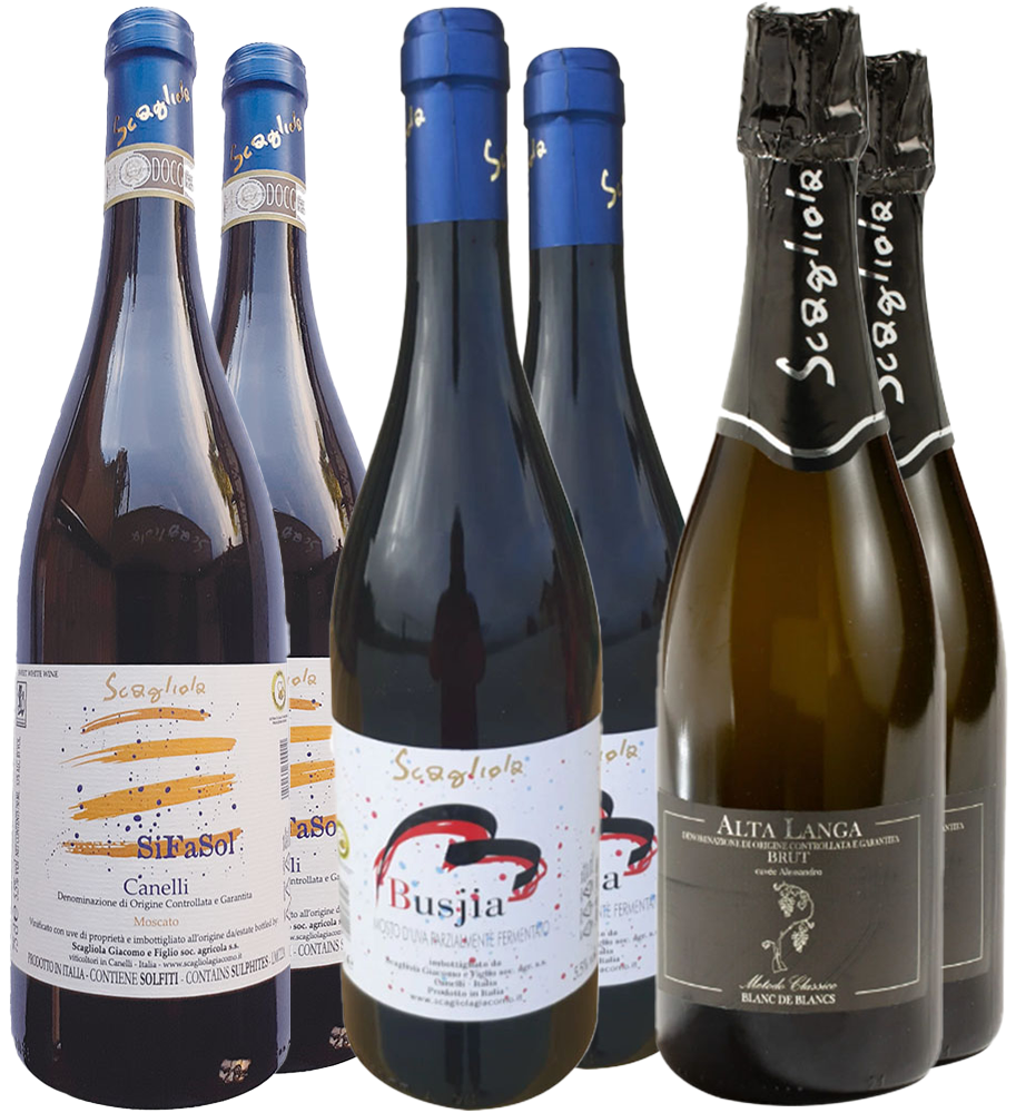Premium Scagliola Giacomo Kennenlern-Paket Premium Scagliola Giacomo Kennenlern-Paket