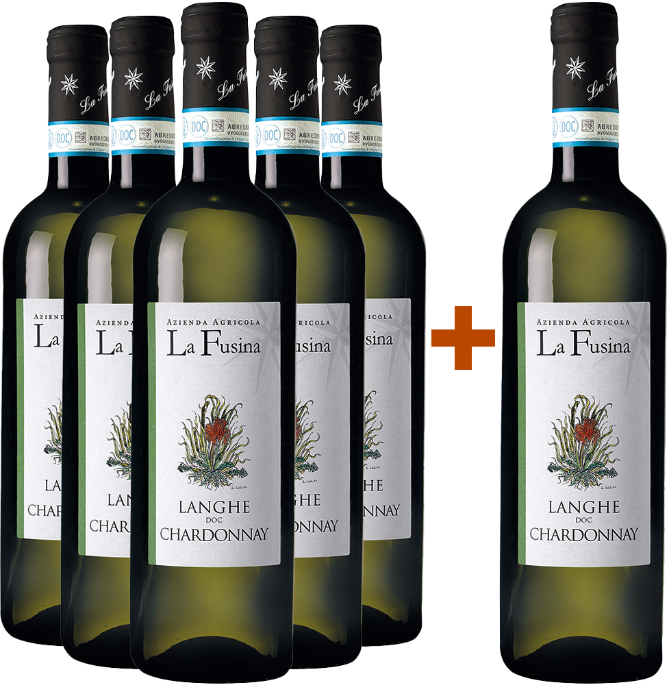 5+1 Paket Chardonnay Langhe DOC 5+1 Paket Chardonnay Langhe DOC