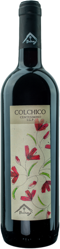 2024 Colchico Ravenna IGP BIO 2024 Colchico Ravenna IGP BIO