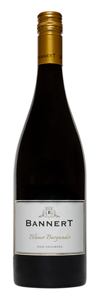 2019 Blauer Burgunder RESERVE, Ried Hochberg 2019 Blauer Burgunder RESERVE, Ried Hochberg