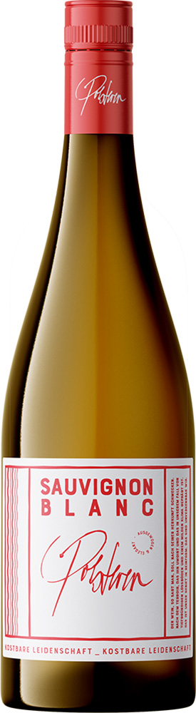 2023 Sauvignon Blanc