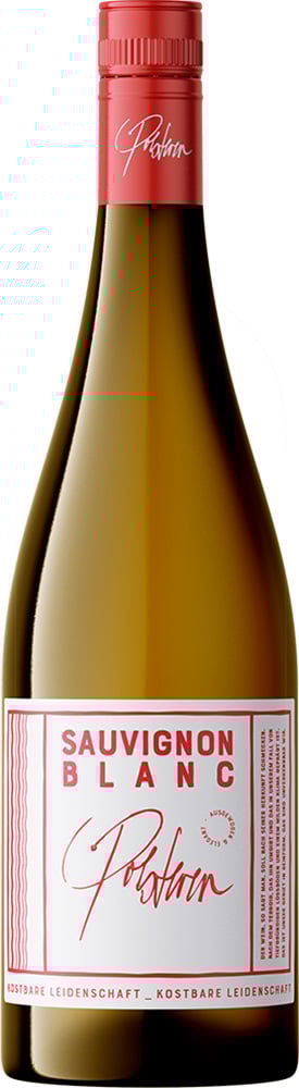 2023 Sauvignon Blanc 2023 Sauvignon Blanc